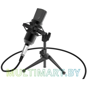 Микрофон Ritmix RDM-160 картинка 3